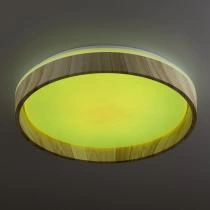 Накладной светильник Citilux ENZO CL753352G 5_CL753352G.webp small