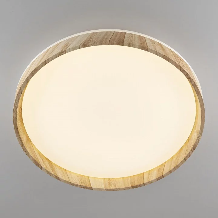 Накладной светильник Citilux ENZO CL753452G 3_CL753452G.webp big