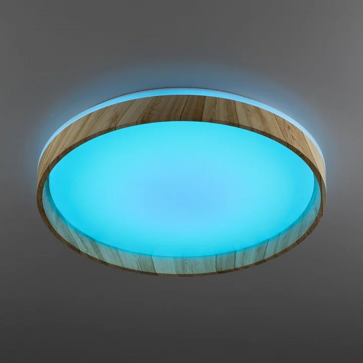 Накладной светильник Citilux ENZO CL753452G 7_CL753452G.webp big