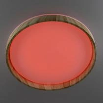 Накладной светильник Citilux ENZO CL753452G 5_CL753452G.webp small