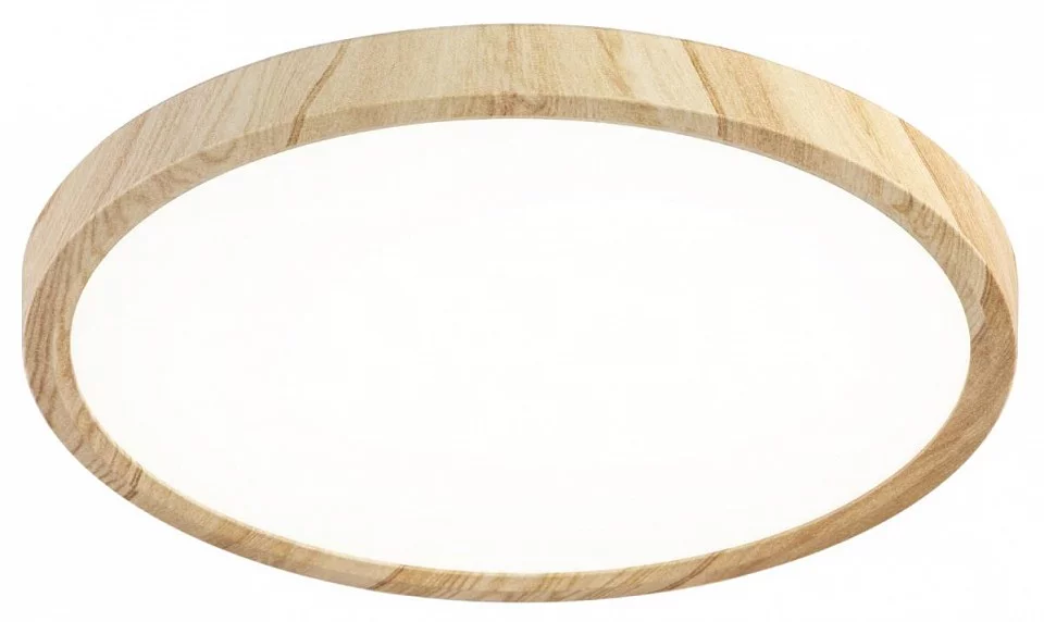Накладной светильник Citilux Бейсик CL738242V 0_CL738242V.webp big