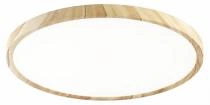 Накладной светильник Citilux Бейсик CL738322V