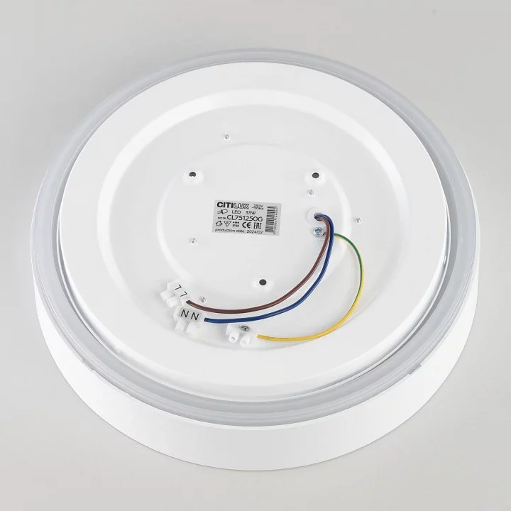 Накладной светильник Citilux BOSS CL751250G 11_CL751250G.webp big