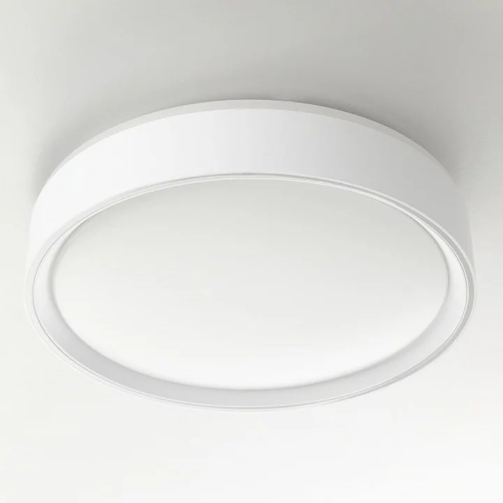 Накладной светильник Citilux BOSS CL751250G 5_CL751250G.webp big
