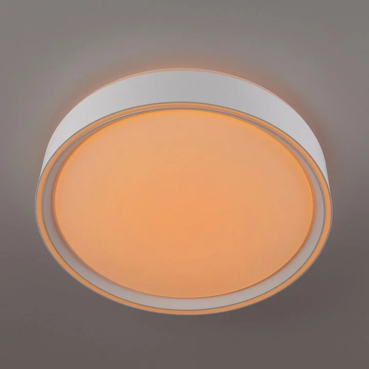 Накладной светильник Citilux BOSS CL751250G 9_CL751250G.webp big