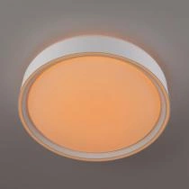 Накладной светильник Citilux BOSS CL751250G 9_CL751250G.webp small