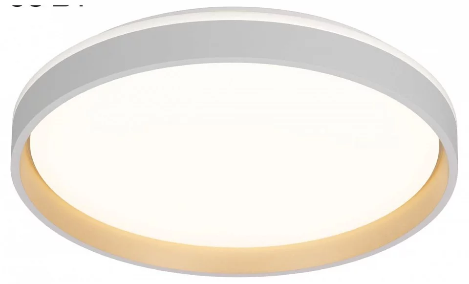Накладной светильник Citilux ENZO CL753450G 0_CL753450G.webp big