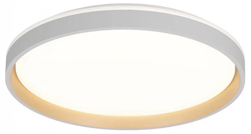 Накладной светильник Citilux ENZO CL753510G 0_CL753510G.webp big