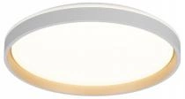 Накладной светильник Citilux ENZO CL753510G