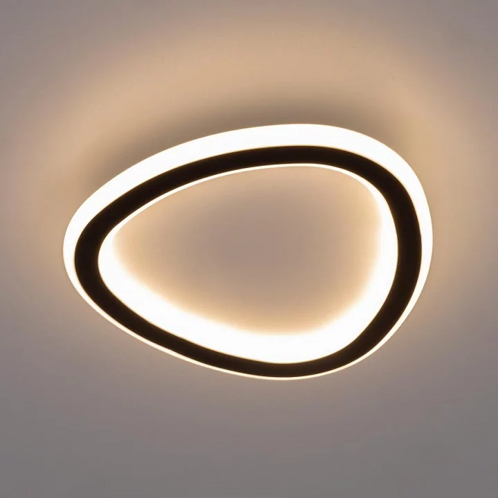 Накладной светильник Citilux ТRIO CL215B221 1_CL215B221.webp big