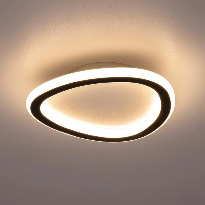 Накладной светильник Citilux ТRIO CL215B221 2_CL215B221.webp big