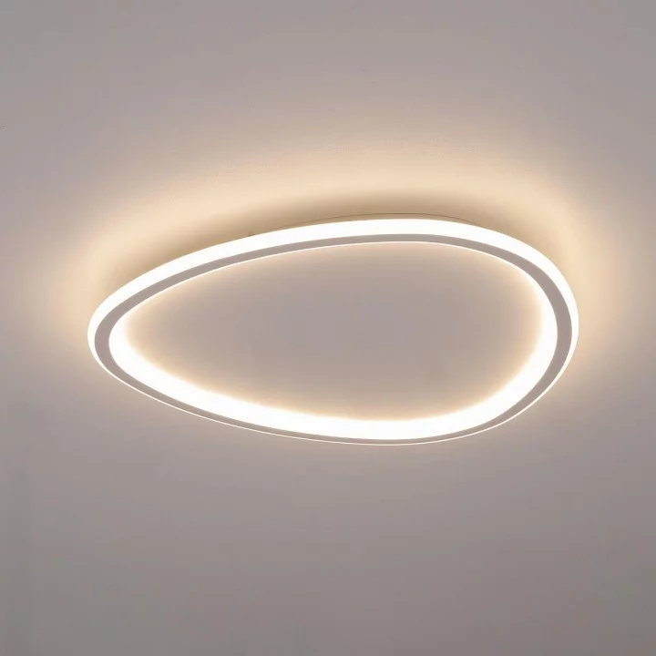 Накладной светильник Citilux ТRIO CL215B250E 10_CL215B250E.webp big