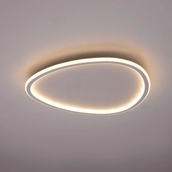 Накладной светильник Citilux ТRIO CL215B250E 2_CL215B250E.webp big