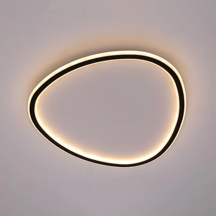 Накладной светильник Citilux ТRIO CL215B251E 5_CL215B251E.webp big