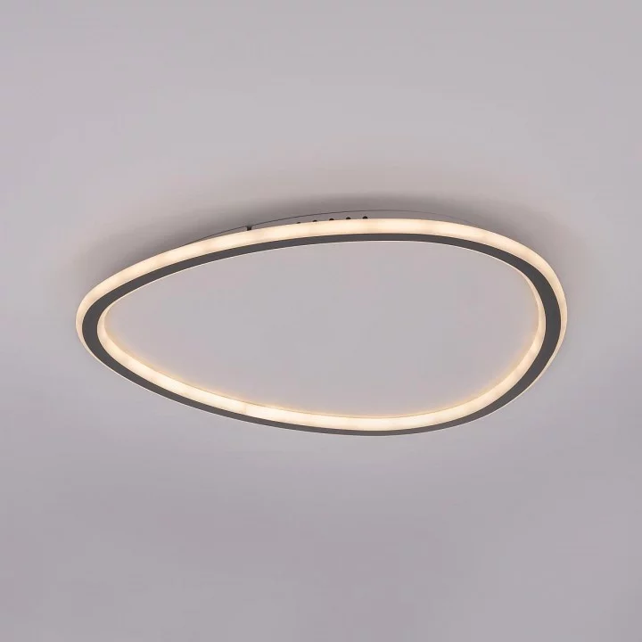 Накладной светильник Citilux ТRIO CL215B251E 7_CL215B251E.webp big