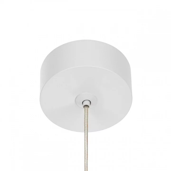 Подвесной светильник Citilux Bruno CL565010 4_CL565010.webp big