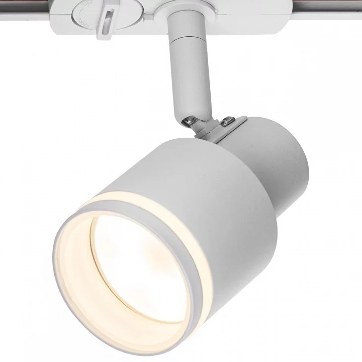 Светильник на штанге Citilux Bruno CL565T10 8_CL565T10.webp big