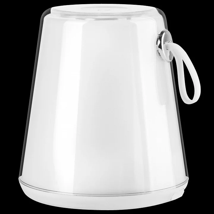 Настольная лампа декоративная Lightstar Alfa 745950 1_LS_745950.webp big
