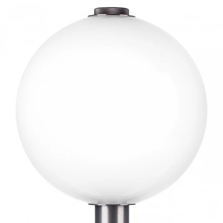 Настольная лампа декоративная Lightstar Colore 805916 6_LS_805916.webp big