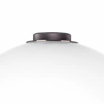 Настольная лампа декоративная Lightstar Colore 805916 7_LS_805916.webp small