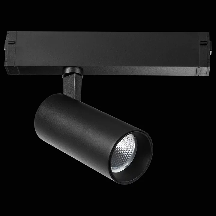 Светильник на штанге Lightstar Teta 205037R 1_LS_205037R.webp big