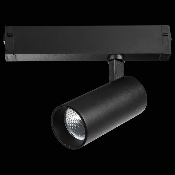 Светильник на штанге Lightstar Teta 205037R 2_LS_205037R.webp big