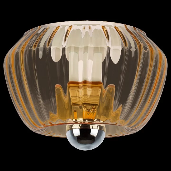 Накладной светильник Lightstar Celesta 809003 1_LS_809003.webp big