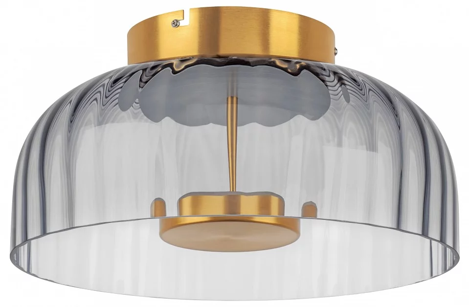 Накладной светильник Lightstar Celesta 809061 0_LS_809061.webp big