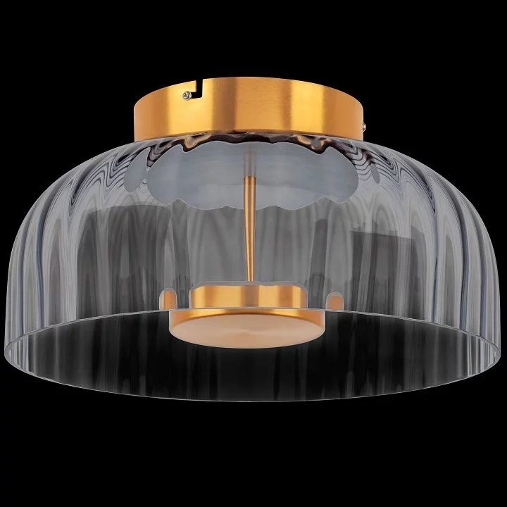 Накладной светильник Lightstar Celesta 809061 1_LS_809061.webp big