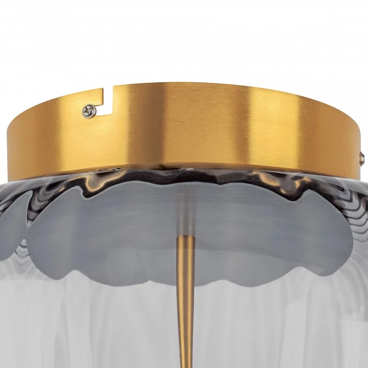 Накладной светильник Lightstar Celesta 809061 6_LS_809061.webp big