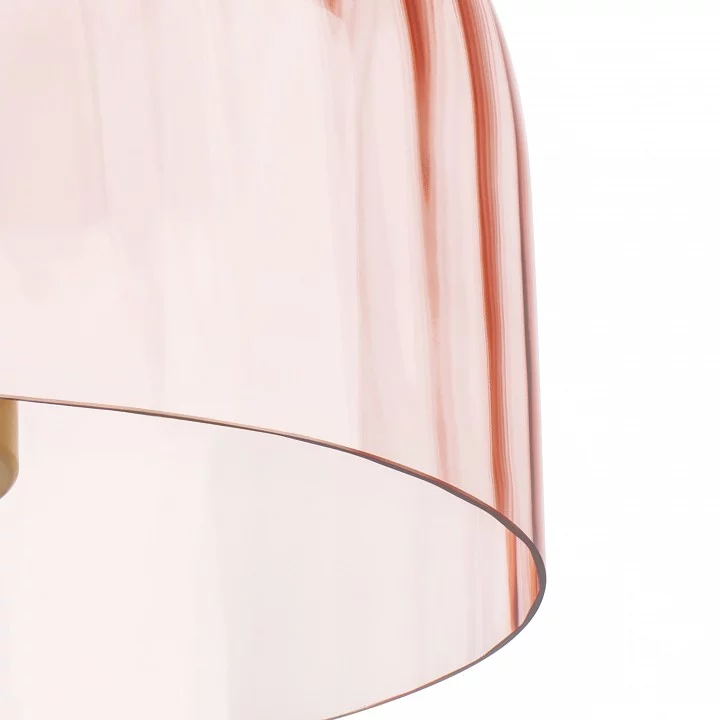 Накладной светильник Lightstar Celesta 809062 8_LS_809062.webp big