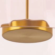 Накладной светильник Lightstar Celesta 809062 7_LS_809062.webp small