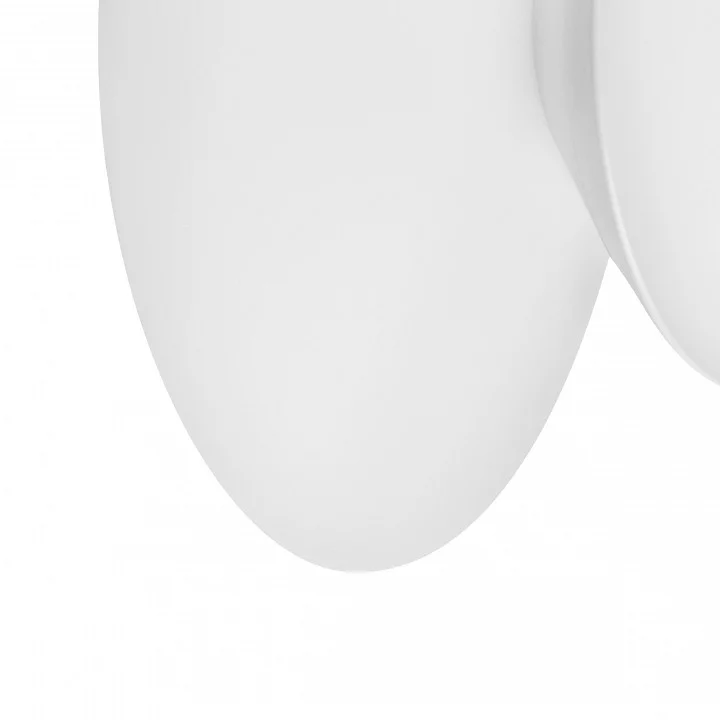 Накладной светильник Lightstar Celesta 809106 7_LS_809106.webp big