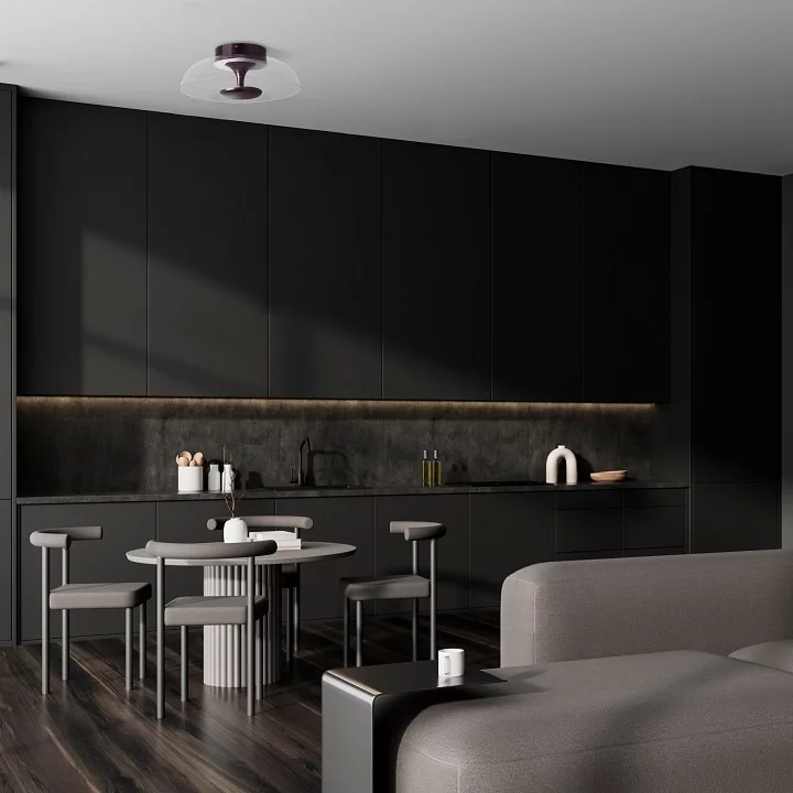 Накладной светильник Lightstar Celesta 809200 4_LS_809200.webp big
