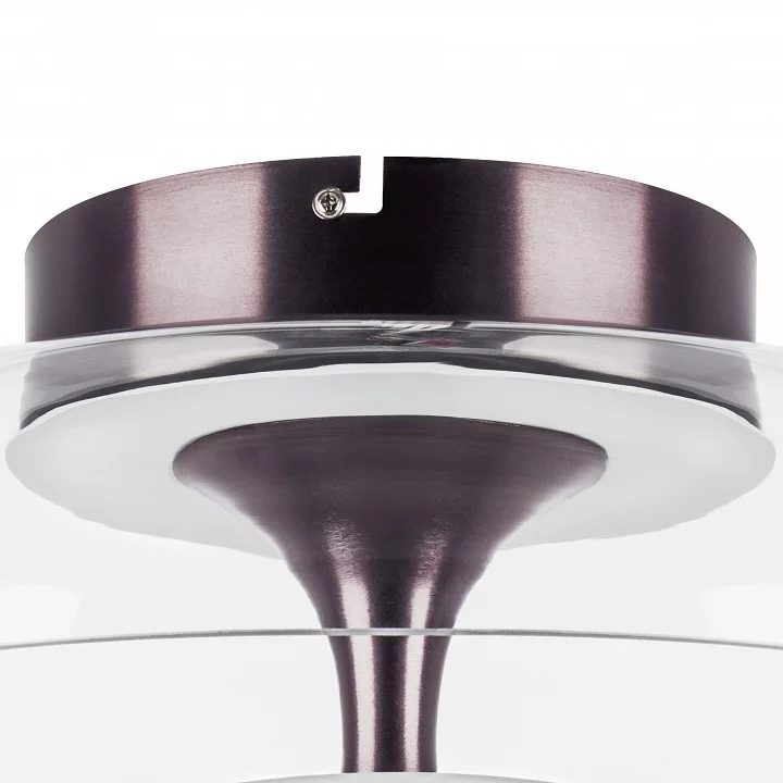 Накладной светильник Lightstar Celesta 809200 6_LS_809200.webp big