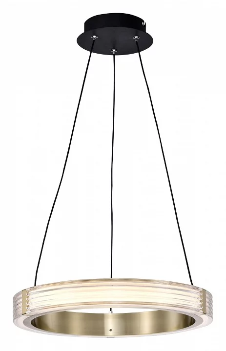 Подвесной светильник Lightstar Rotonda 736241 1_LS_736241.webp big