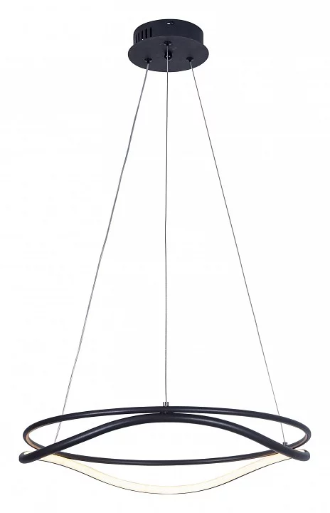 Подвесной светильник Lightstar Rotonda 736517 1_LS_736517.webp big