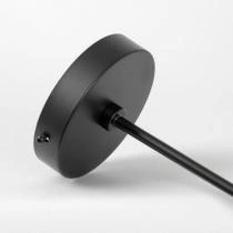Люстра на штанге Lussole LSP-891 LSP-8913 5_LSP-8913.webp small