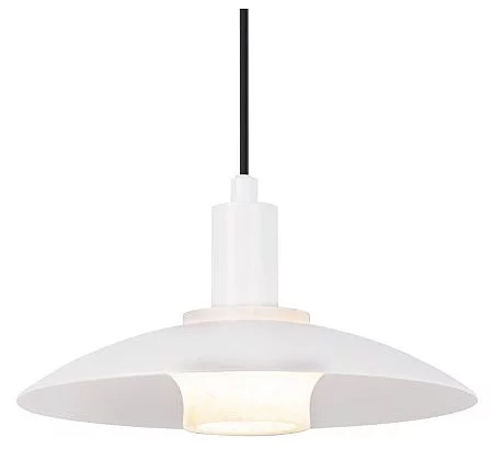 Подвесной светильник Favourite Baster 4274-1P 0_FV_4274-1P.webp big