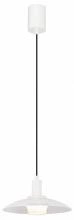 Подвесной светильник Favourite Baster 4274-1P 1_FV_4274-1P.webp small
