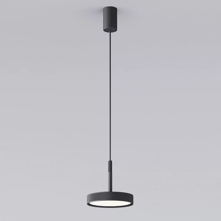Подвесной светильник Elektrostandard Plate a065411 1_ELK_a065411.webp big