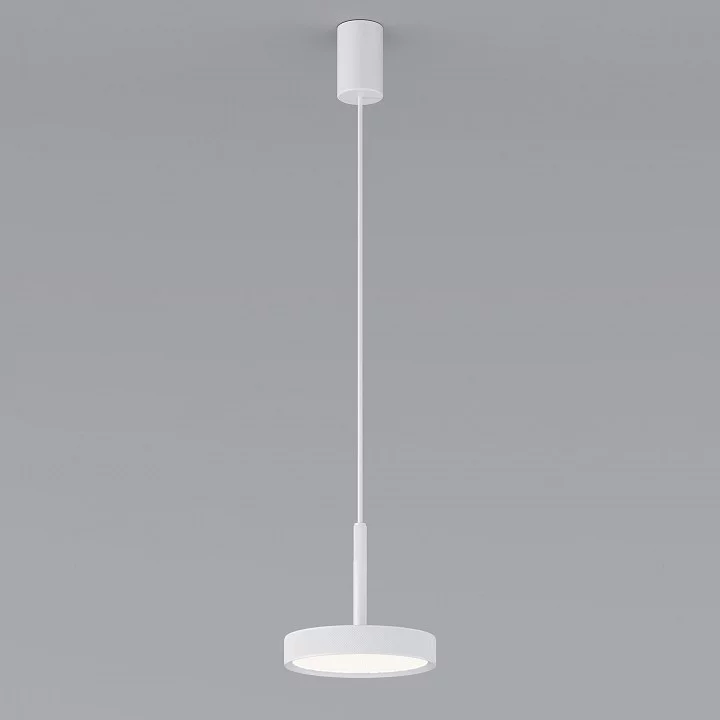 Подвесной светильник Elektrostandard Plate a065412 1_ELK_a065412.webp big