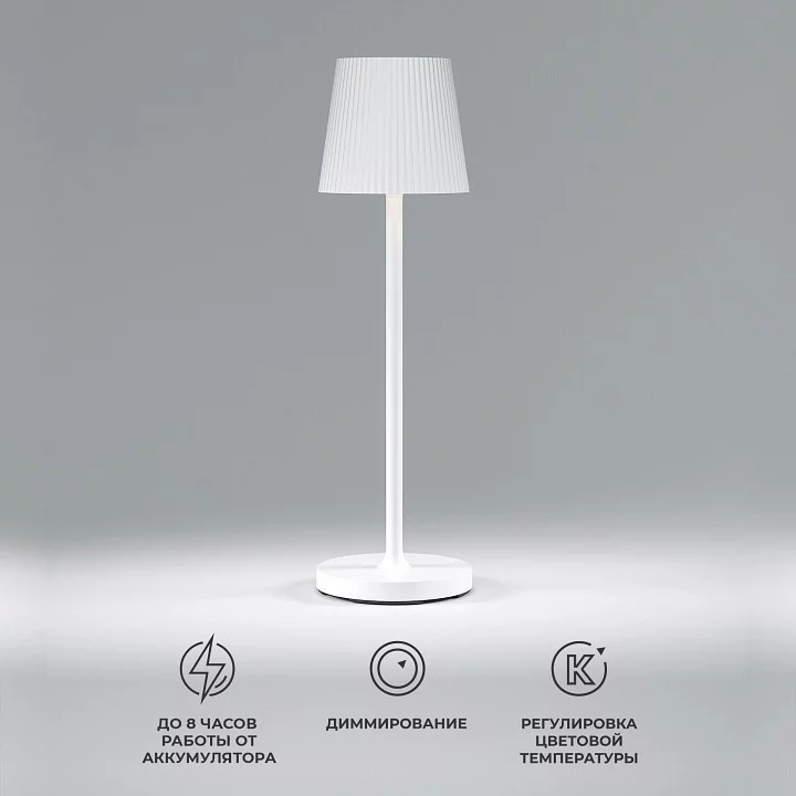 Настольная лампа декоративная Elektrostandard Mist a063928 1_ELK_a063928.webp big