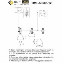 Подвесная люстра Omnilux Trevasco OML-59603-12 6_OM_OML-59603-12.webp small