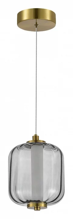 Подвесной светильник ST-Luce Summer SL1193.313.01 1_SL1193.313.01.webp big