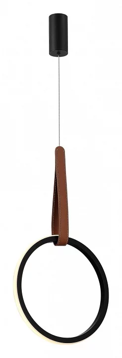 Подвесной светильник ST-Luce Shape SL6131.403.12 1_SL6131.403.12.webp big
