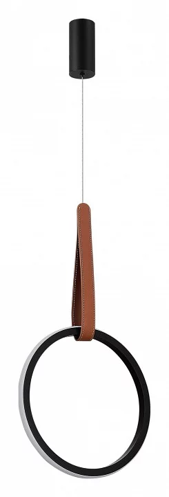 Подвесной светильник ST-Luce Shape SL6131.403.12 2_SL6131.403.12.webp big