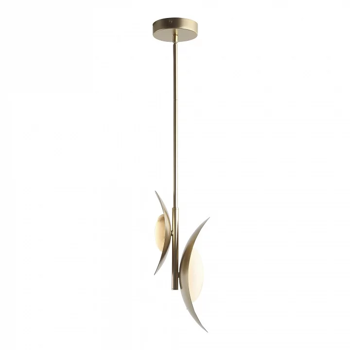 Подвесной светильник ST-Luce Pearl SL6229.203.02 3_SL6229.203.02.webp big