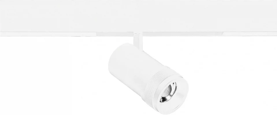 Светильник на штанге ST-Luce SKYLINE 220 ST658.596.20 0_ST658.596.20.webp big