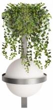 Бра Loft it Jardin 10121W/B Dark grey 1_LF_10121W_B_Dark_grey.webp small